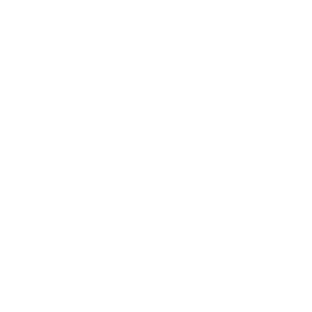 Gavioli Soluzioni - Consulenza